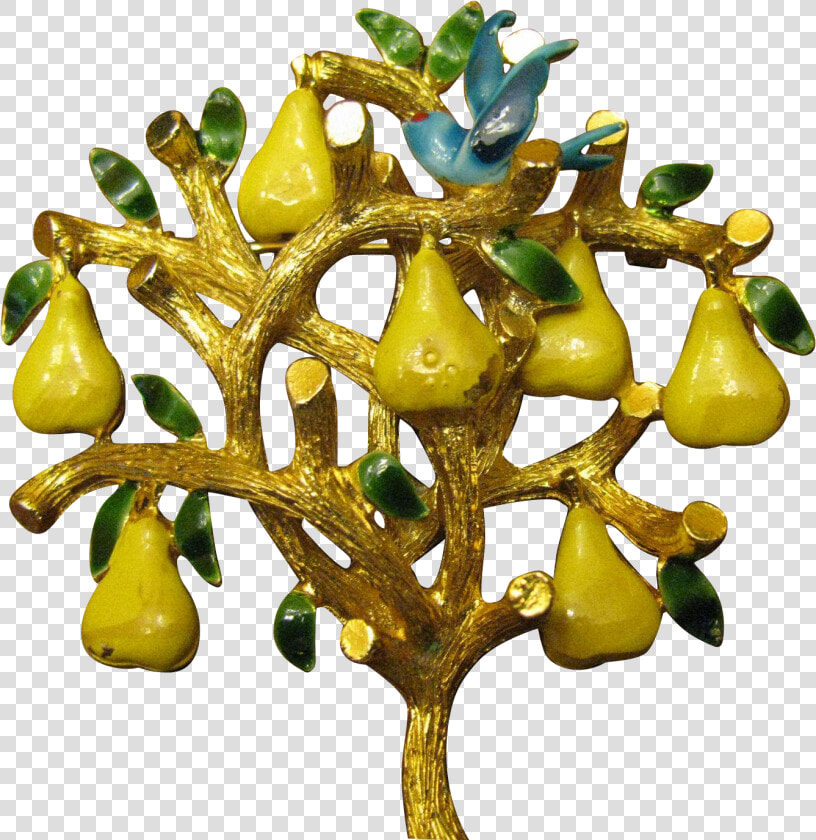 Partridge In A Pear Tree Transparent  HD Png DownloadTransparent PNG