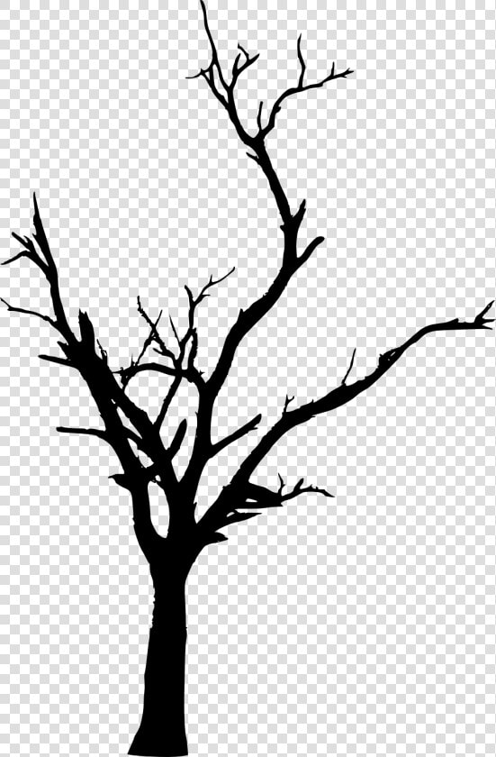 Tree Woody Plant Branch Twig Clip Art   Transparent Dead Tree Silhouette  HD Png DownloadTransparent PNG