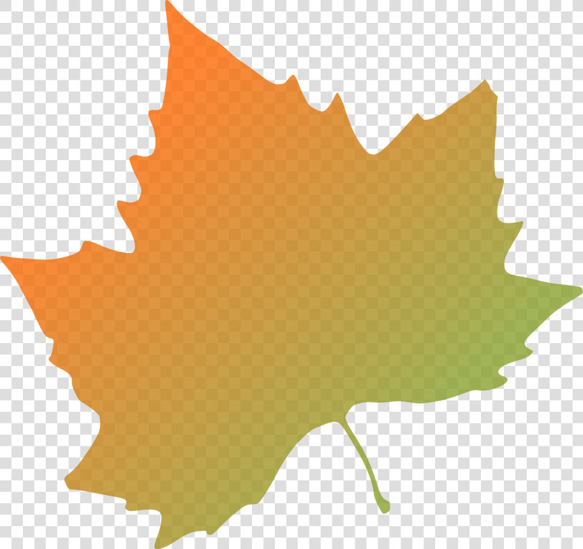 Autumn Leaf Png   Autumn Leaves Clip Art  Transparent PngTransparent PNG