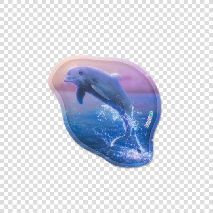 Delfin  HD Png DownloadTransparent PNG