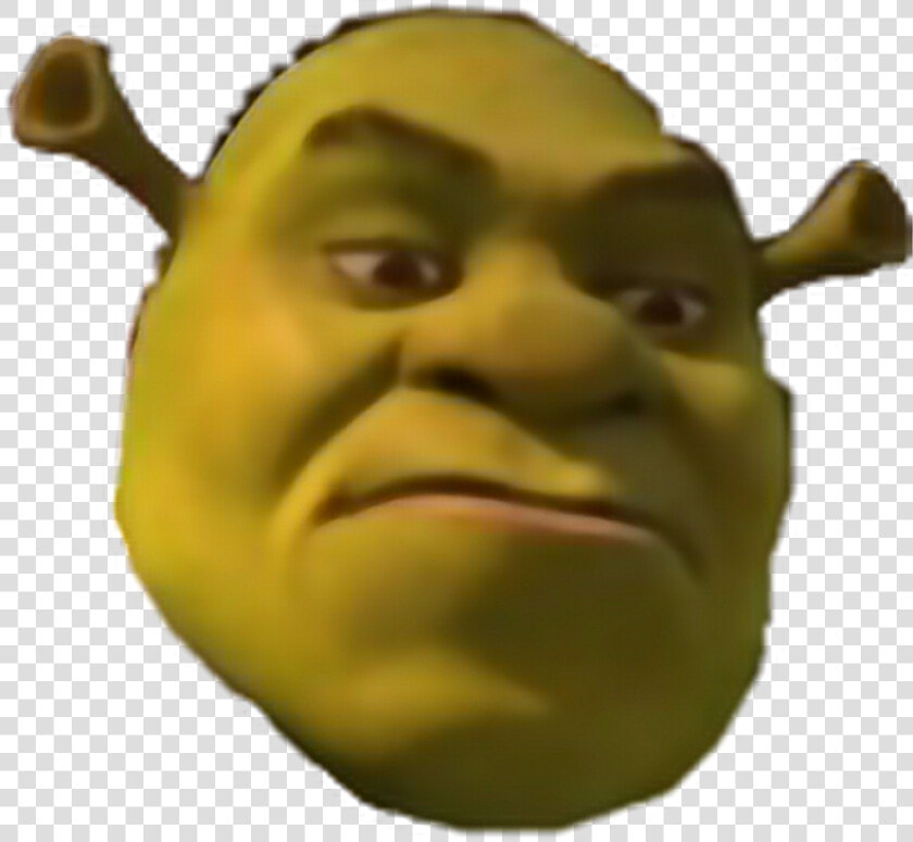 Shrek Head Png   Transparent Png Shrek Face  Png DownloadTransparent PNG