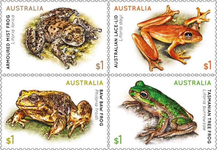 Frogs Stamps Australia  HD Png DownloadTransparent PNG