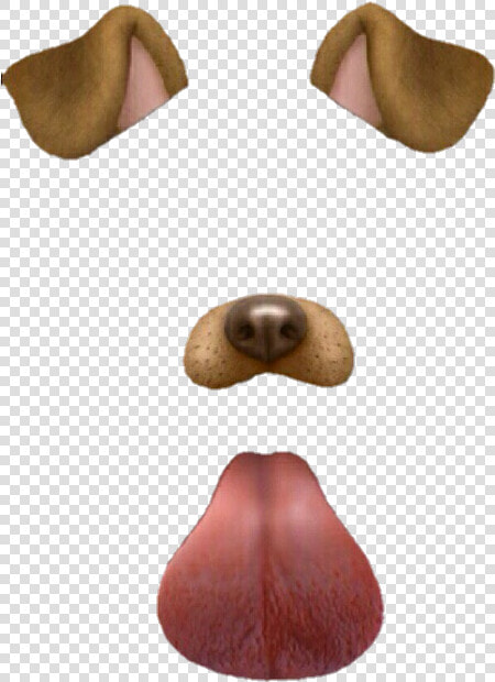 Snapchat Png Tumblr   Snapchat Dog Filter  Transparent PngTransparent PNG