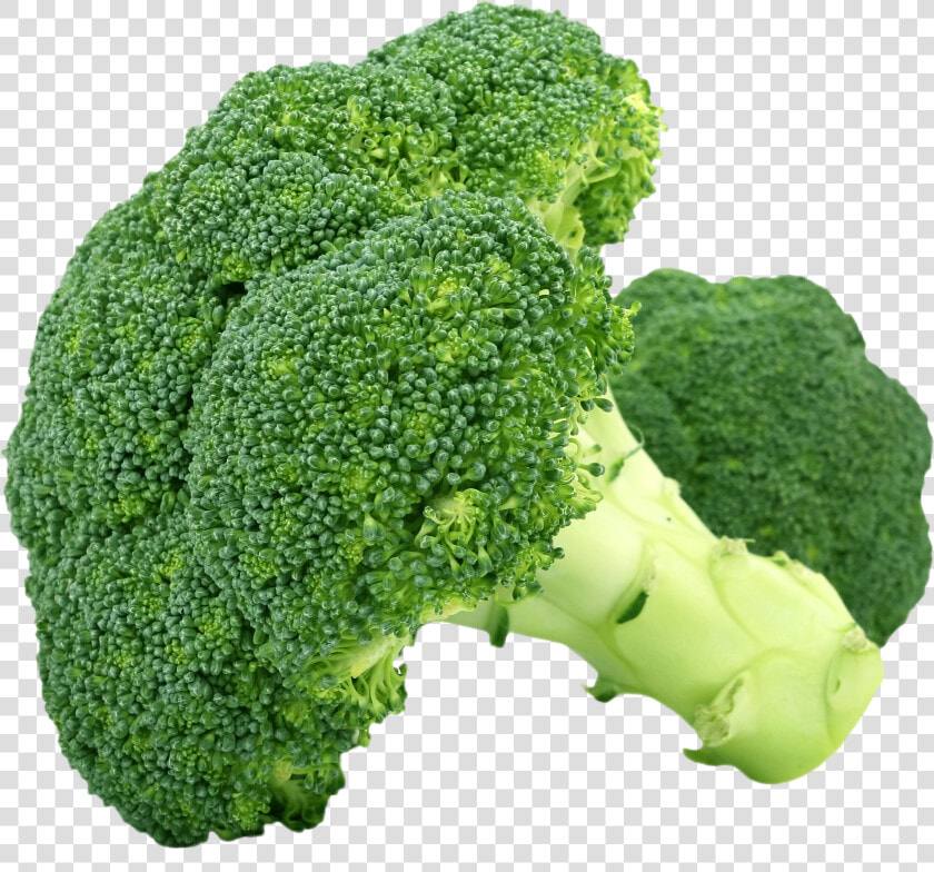 Broccoli Vegetable Steaming Fruit   Flower Vegetables Examples  HD Png DownloadTransparent PNG