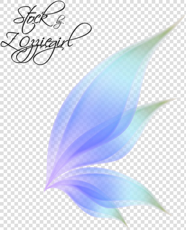 Fairy Wing Png By Zozziegirl d89x02m   Transparent Background Fairy Wings Png  Png DownloadTransparent PNG