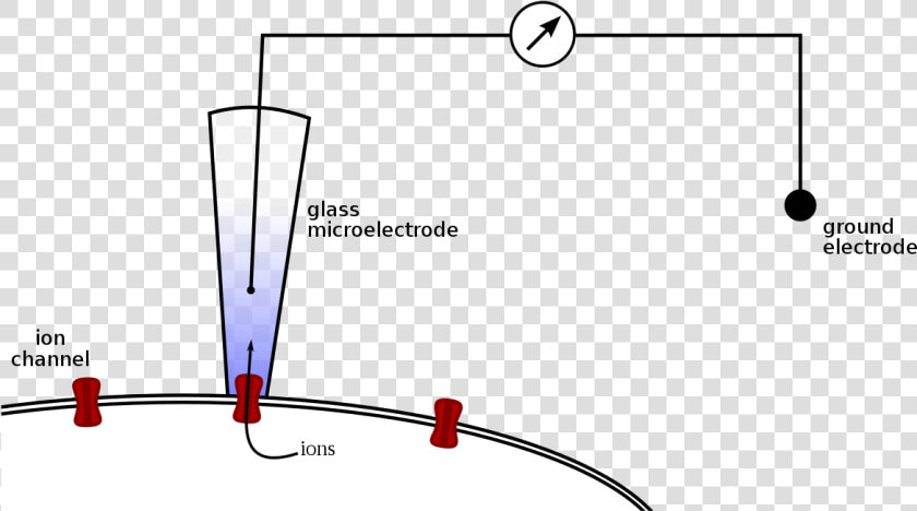 Patch Clamp Png  Transparent PngTransparent PNG