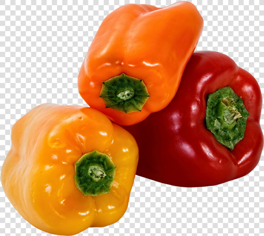 Bell Pepper Png Image   Bell Peppers Png Transparent  Png DownloadTransparent PNG