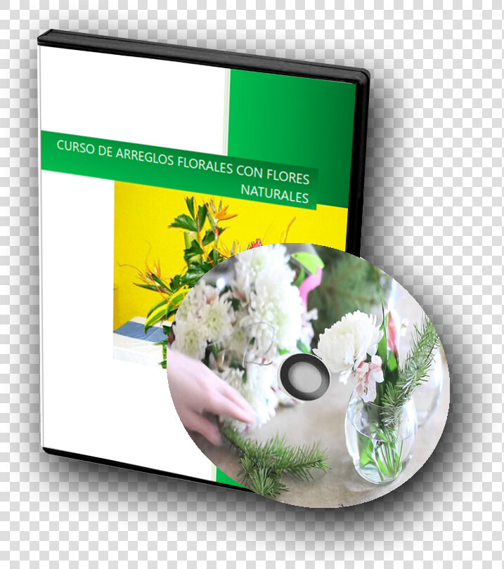 Libro Digital Arreglos Florales Con Flores Naturales   Hacer Un Arreglo Floral Paso  HD Png DownloadTransparent PNG