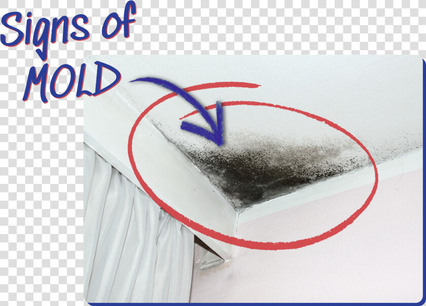 Signs Of Mold Example   Sketch  HD Png DownloadTransparent PNG