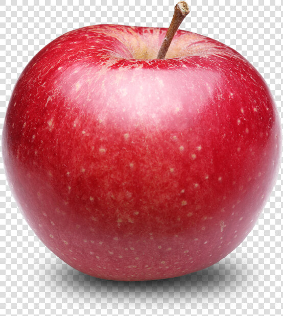 Red Apple Png Photos   Transparent Apple Png  Png DownloadTransparent PNG