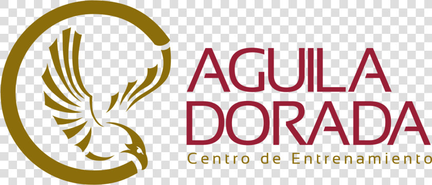 Logo Aguila Dorada Png   Png Download   Illustration  Transparent PngTransparent PNG