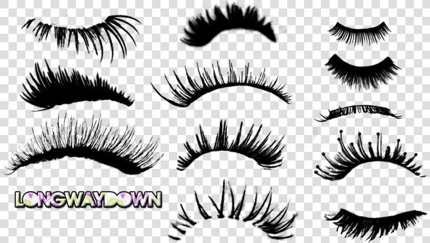 Transparent Eyelash Png   Eyelashes Photoshop  Png DownloadTransparent PNG