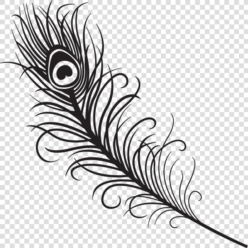 Turkey Feathers Clipart Black And White Vector Free   Easy To Draw Peacock Feather  HD Png DownloadTransparent PNG