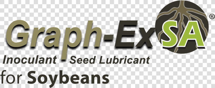 Soybeans Png  Transparent PngTransparent PNG