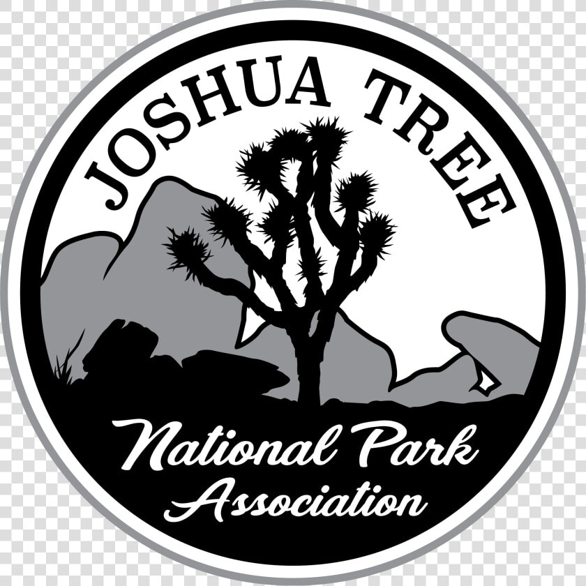 Joshua Tree Png  Transparent PngTransparent PNG