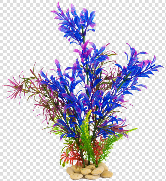 Plants For Aquarium Png  Transparent PngTransparent PNG