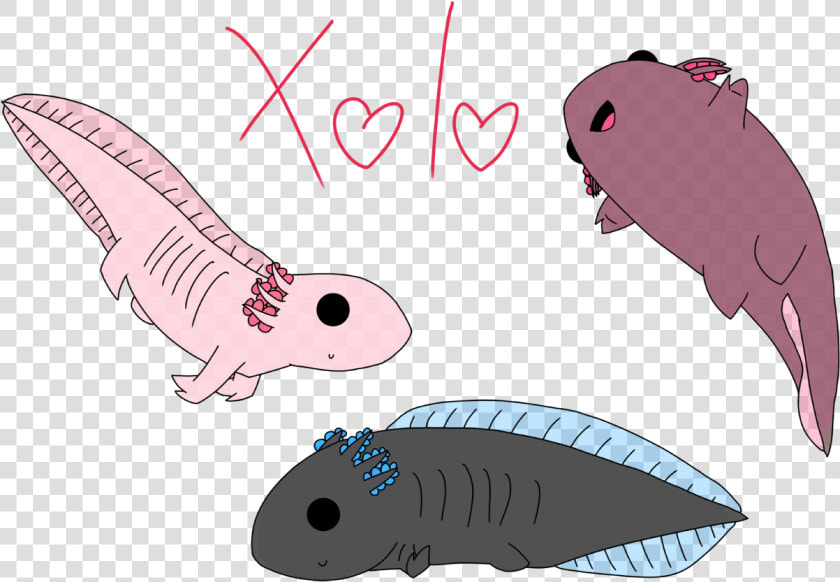 Axolotl Doodles   Illustration  HD Png DownloadTransparent PNG