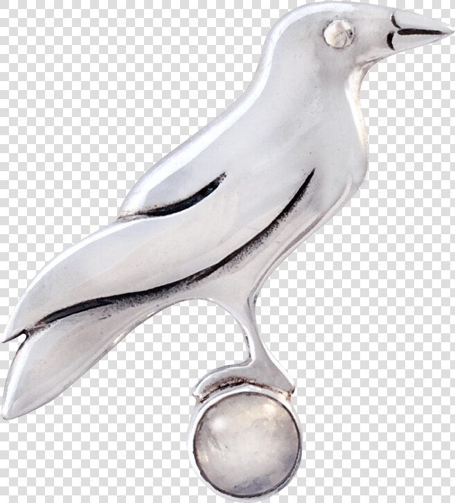 Pigeons And Doves  HD Png DownloadTransparent PNG