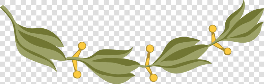 Laurel Branch 6 Clip Arts   Laurel Leaves  png  Transparent PngTransparent PNG