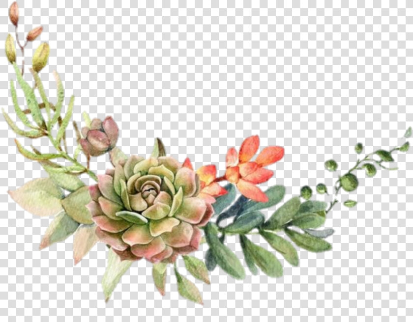  suculentas   Watercolor Cactus Frame Png  Transparent PngTransparent PNG