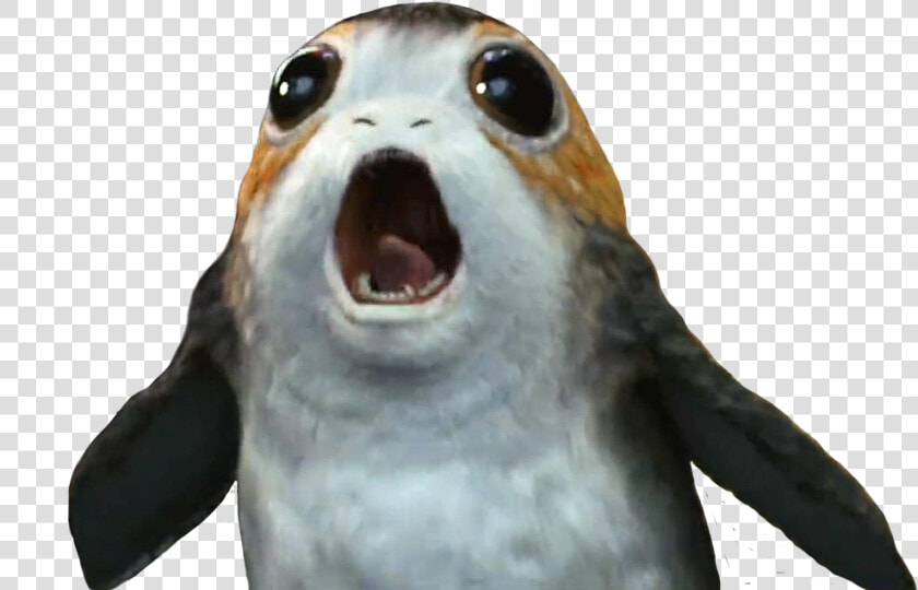 Porg Star Wars Png  Transparent PngTransparent PNG