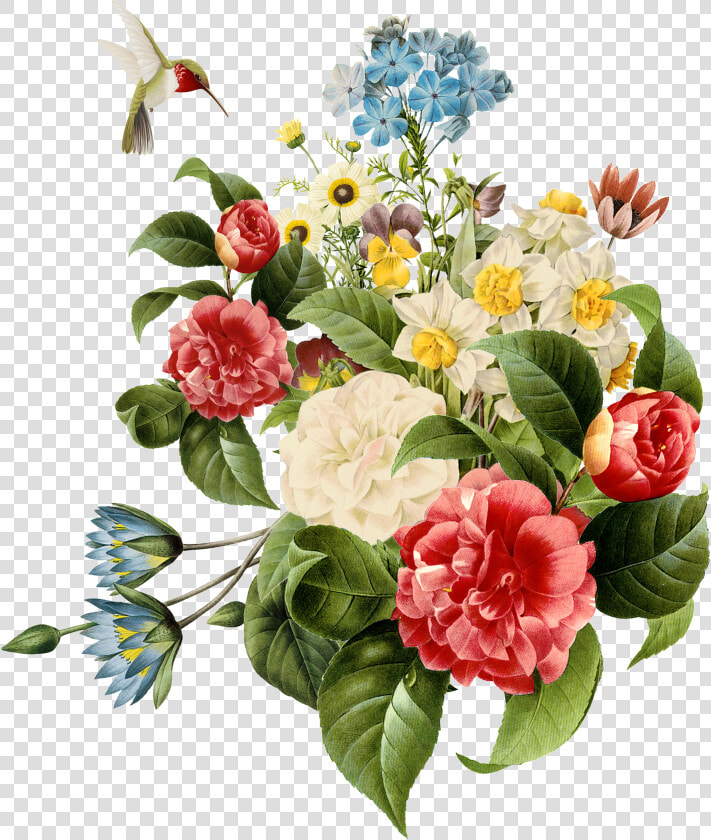 Multi Coloured Flowers Png  Transparent PngTransparent PNG