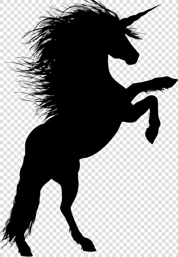 Animal  Equine  Rearing  Horse  Silhouette  Ride   Unicorn Silhouette Rearing Up  HD Png DownloadTransparent PNG