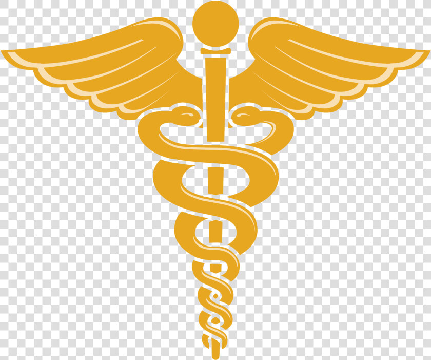 Doctor Symbol Caduceus Png File   Doctor Symbol Png  Transparent PngTransparent PNG