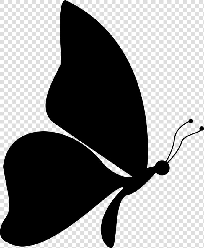 Butterfly Shape From Side View Facing To Right   Butterfly Drawing Side View  HD Png DownloadTransparent PNG