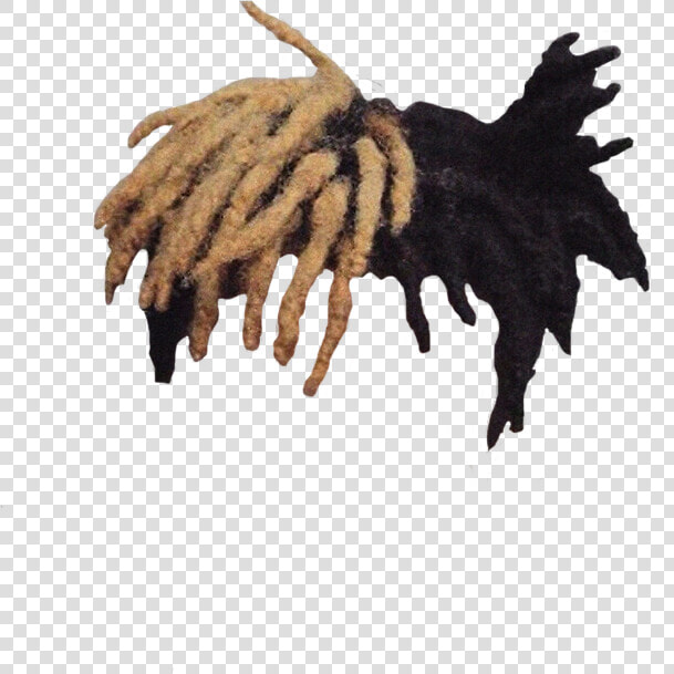 Xxxtentacion Dreads Png   Xxxtentacion Hair Transparent Background  Png DownloadTransparent PNG