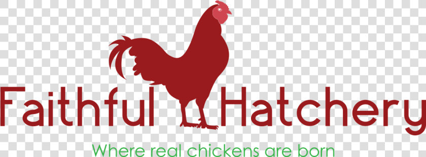 Clip Art Minecraft Hatchery Rooster   Rooster  HD Png DownloadTransparent PNG