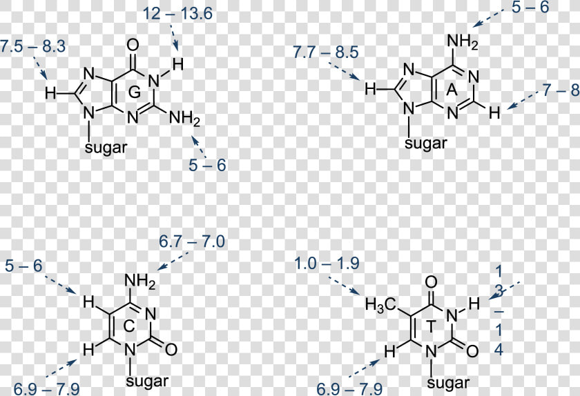 Nucleic Acid Structure Diagram  HD Png DownloadTransparent PNG