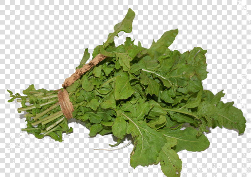 Arugula Png High Quality Image   Parsley  Transparent PngTransparent PNG