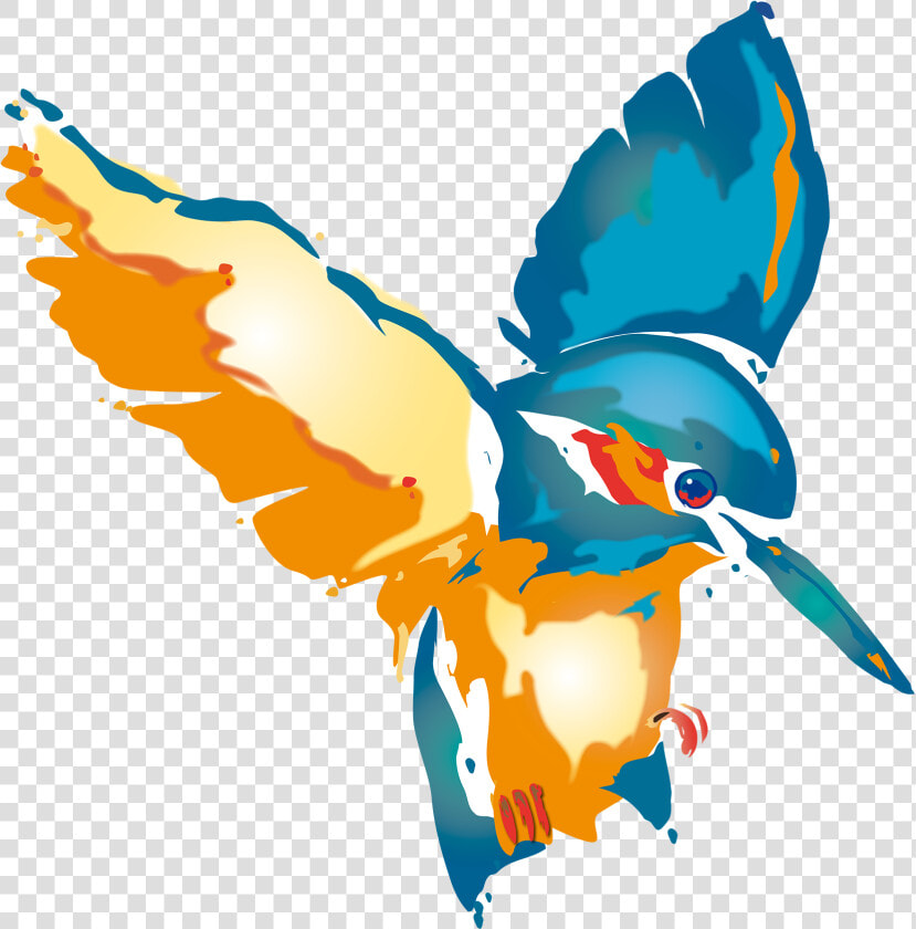 Kingfisher Clipart King Fisher   Kingfisher Clipart  HD Png DownloadTransparent PNG