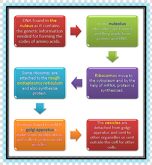 6 Mandatory Procedures Of Iso 9001  HD Png DownloadTransparent PNG