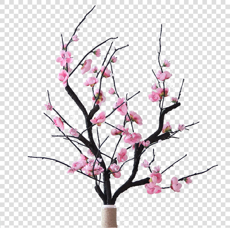 Transparent Peach Flowers Png   Flower Arrangements In Dry Branches  Png DownloadTransparent PNG