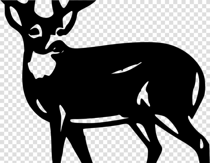 White tailed Deer Clip Art Mule Deer Red Deer   Silhouette White Tail Deer  HD Png DownloadTransparent PNG