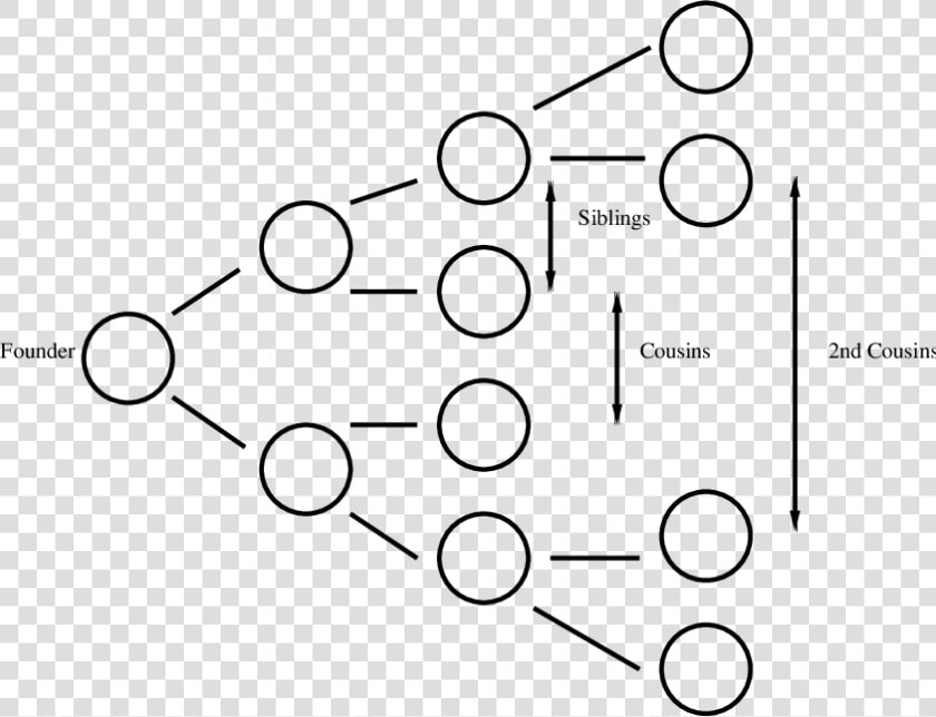 Family Tree To Second Cousin  HD Png DownloadTransparent PNG