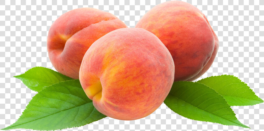 Peach Png Free Images   Nectarines  Transparent PngTransparent PNG