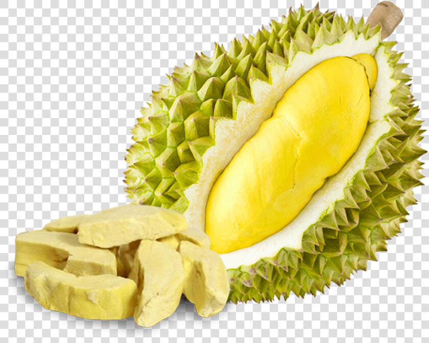 Durian Fruit Durian Shape Png Hd  Transparent PngTransparent PNG