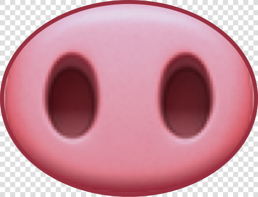 Pig Snout Png   Pig Snout Drawing  Transparent PngTransparent PNG