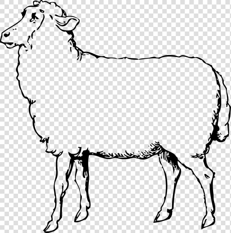 Sheep Svg Clip Arts   Sheep Images Black And White  HD Png DownloadTransparent PNG