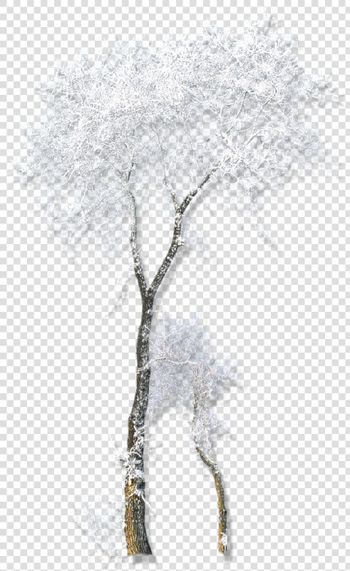 Twig Drawing Winter Belvedere Vodka   Tube Png Arbre Hiver  Transparent PngTransparent PNG