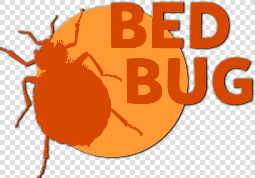 89 Bed Bug   Bed Bug Png  Transparent PngTransparent PNG