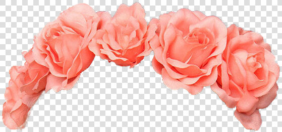 Flower Png Tumblr Totally Transparent Crowns   Orange Flower Crown Png  Png DownloadTransparent PNG