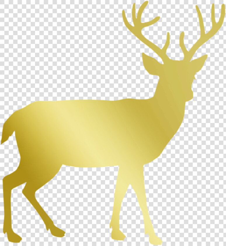 Vacation  Gold  Deer  Stag  Reindeer  Christmas   Deer Silhouette Png  Transparent PngTransparent PNG