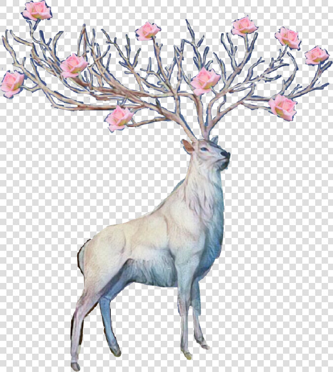  flower  deer  antlers  sticker  freetoedit   Flower Antlers Transparent Deer  HD Png DownloadTransparent PNG