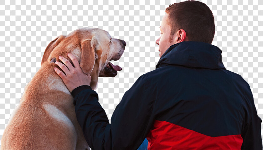 Pup And Patriot   Dog Happy Pawthers Day  HD Png DownloadTransparent PNG