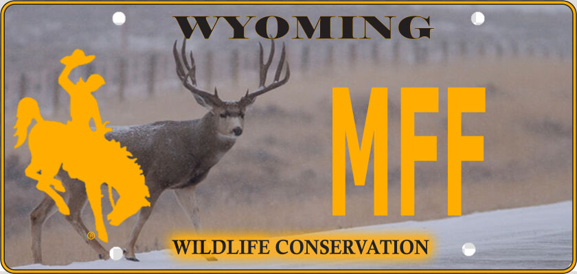 Wyoming Conservation License Plate  HD Png DownloadTransparent PNG