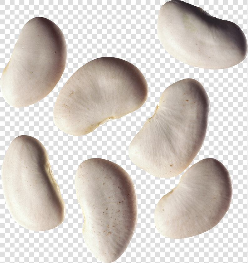 Kidney Beans Png   Common Bean  Transparent PngTransparent PNG